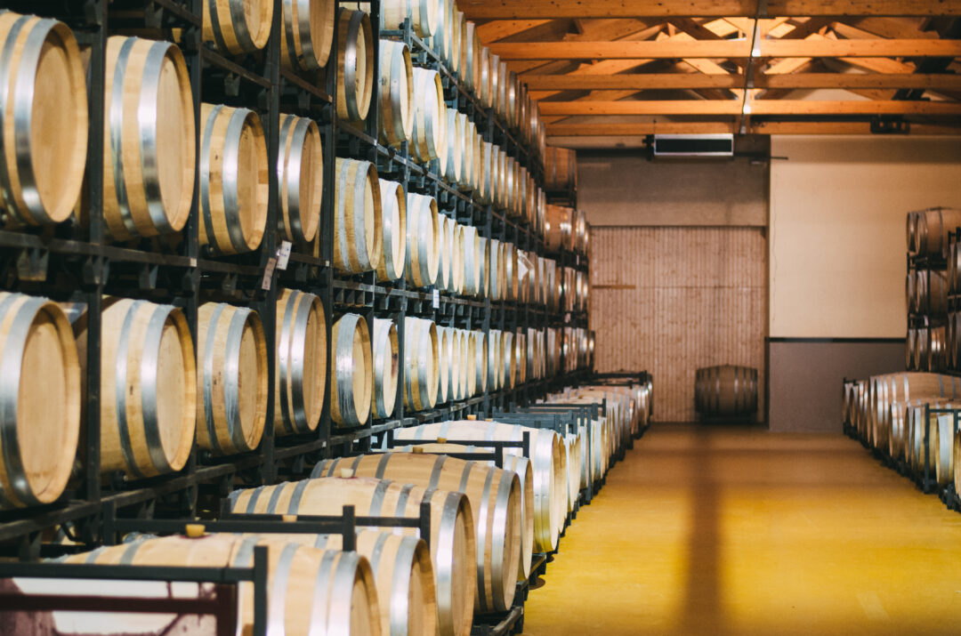 5 migliori vini della Valle d’Itria: guida per winelovers